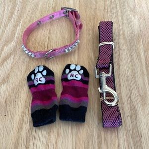 Dog Bundle: Pink Leash, Collar and Socks